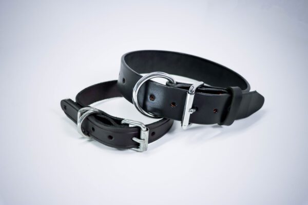 A pair of black leather collars with silver buckles.