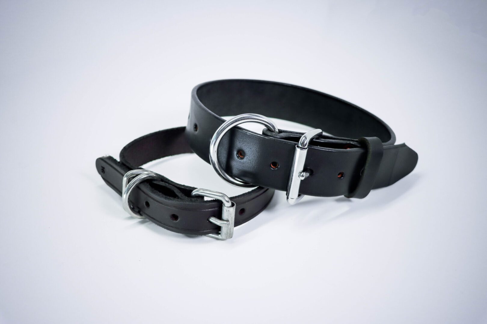 Leather Dog Collar